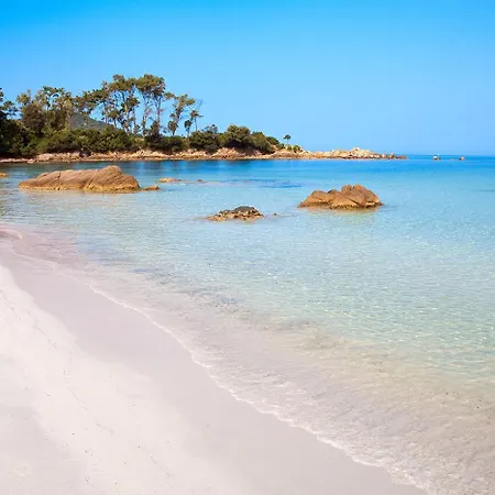 Grand Rue Pietonne *